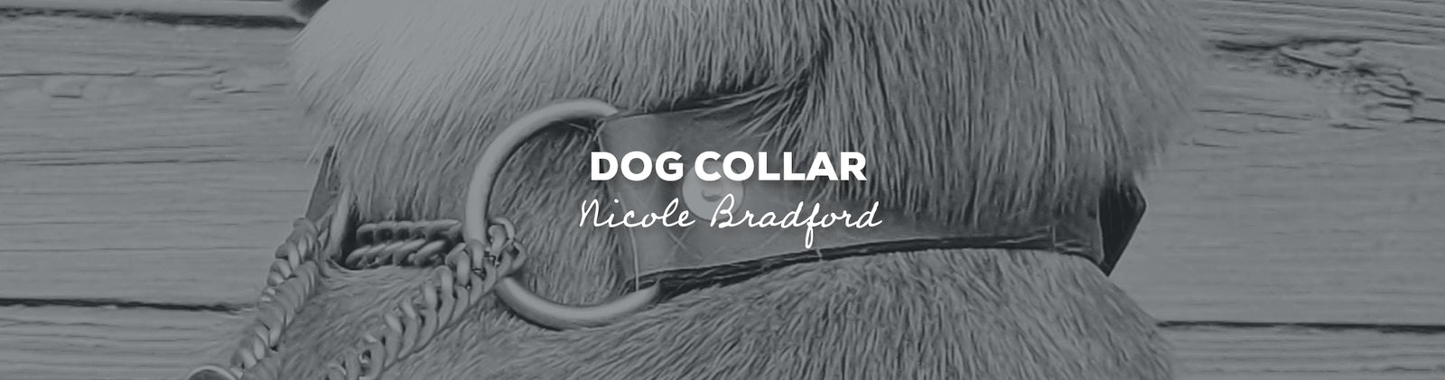 Idée cadeau : Collier pour chien avec Nicole Bradford, Store #136