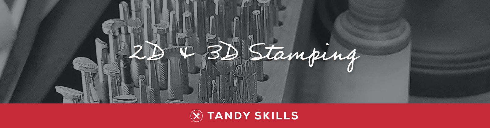 Compétences Tandy : estampage 2D et 3D