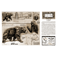 Un poco sobre los osos de Al Stohlman- Serie 11 Página 1