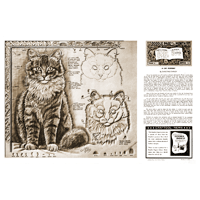 Un portrait de chat par Christine Stanley - Série 12 Page 6