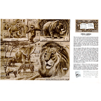Animales Africanos por Al Stohlman- Serie 4B Página 2