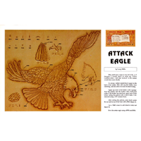 Attack Eagle de Larry Mills- Serie 3E Página 3