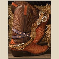 Ceintures de bottes