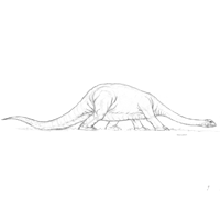 Brontosaurus Sketch