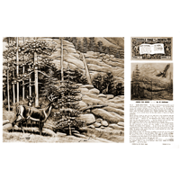 Carve This Scene - More About Trees by Al Stohlman- Series 12 Page 2