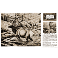 Carving A Large Scene3 by Christine Stanley- Series 3B Page 3