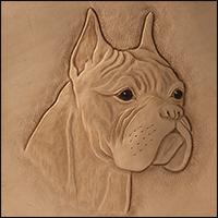 Tallar un perro boxer