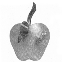 Adorno navideño de manzana