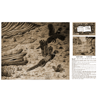 Scène champêtre - Les Faisans de Dick Giehl - Série 12 Page 12
