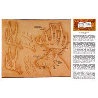 Detailing Antlers by Robb Barr- Series 10D Page 5
