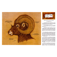 Doing Hair With a Glovers Needle by D. Somerfield Ferweda- Series 8D Page 1