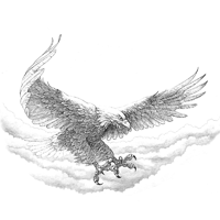 Bosquejo del águila