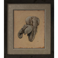 Elephant Pair Pattern