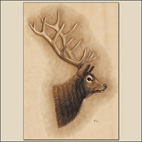 Feuille de conseils pratiques pour la coloration des wapitis de Tony's Bench