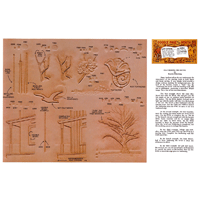 Feathering The Bevel by Darwin Ohlerking- Series 6D Page 11