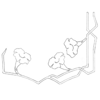 Motif de vigne en fleurs