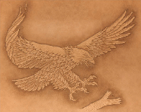 Laier Eagle Landing