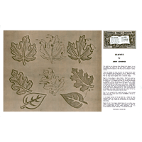 Feuilles par Jerry Jennings - Série 8B Page 1