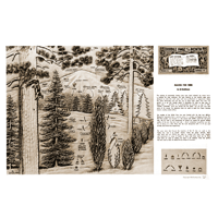 Making Pine Trees by Al Stohlman- Series 1B Page 11