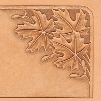 Conception de coin de feuille d'érable et de graines