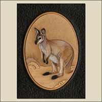 Tapisser et encadrer un Wallaby How-To de Tony's Bench