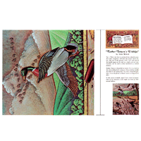 Mother Nature's Wildlife by Gene Noland- Series 11B Page 5