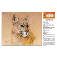 Mountain Lion par Jan F. Schoonover - Série 6E Page 10