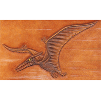 Modèle d'outillage de dinosaure ptéranodon