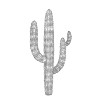 Dibujo de cacto saguaro