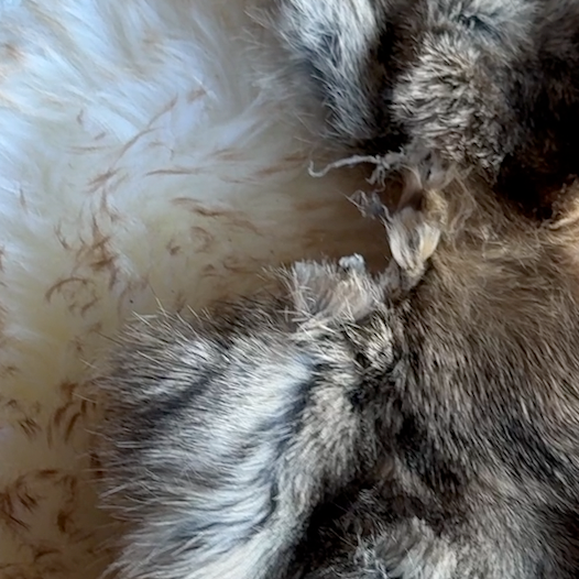 A Complete Guide to Working with and Caring for Hair-On Leather Hides