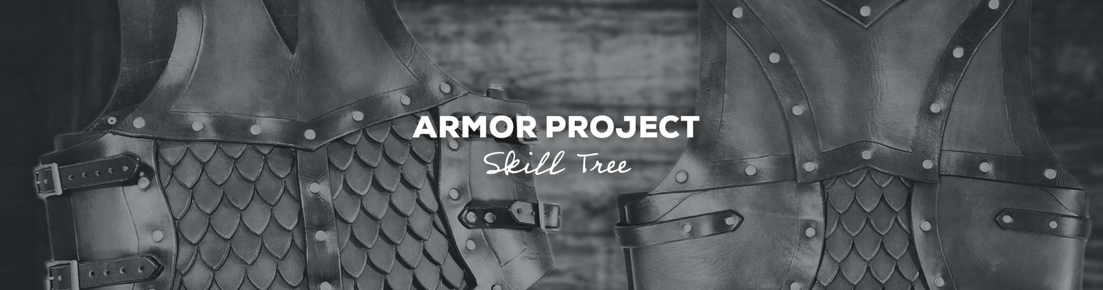 Gift Idea: Armor Project by Skill Tree