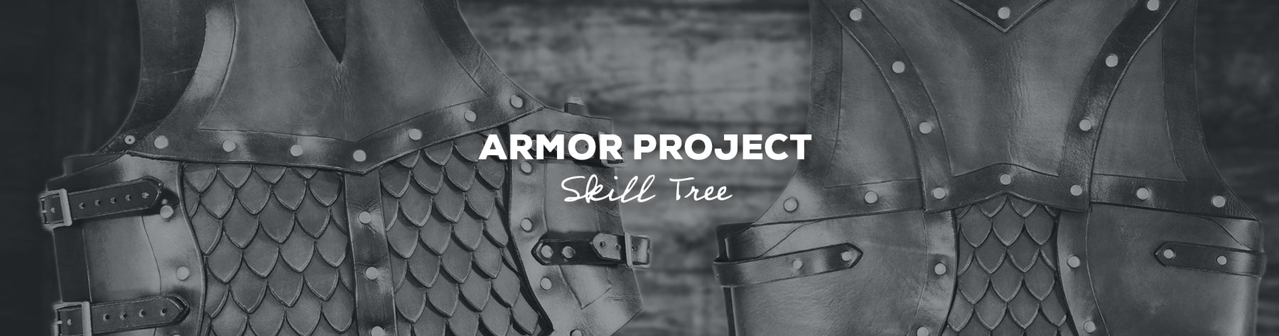 Gift Idea: Armor Project by Skill Tree