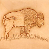 Standing Buffalo Pattern