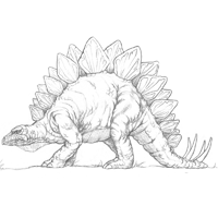 Stegosaurus Sketch