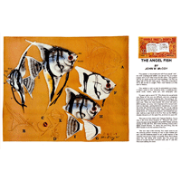 The Angel Fish by John McCoy- Series 12D Page 8