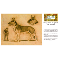 The German Sheperd by Al Stohlman- Series 12B Page 12