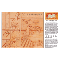 The Herring Gull by Silva Fox- Series 6E Page 8