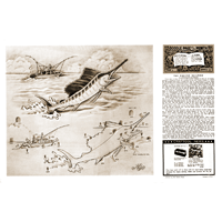 The Pacific Sailfish by Christine Stanley- Series 10 Page 5