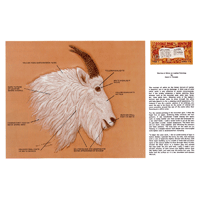 The Use Of White On Leather Paintings by Doris Ferweda- Series 11D Page 3