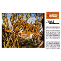 Tiger by Kham F. Thong Vanh- Series 2E Page 8