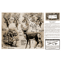 Turning the Deer Head par Al Stohlman - Série 12 Page 7