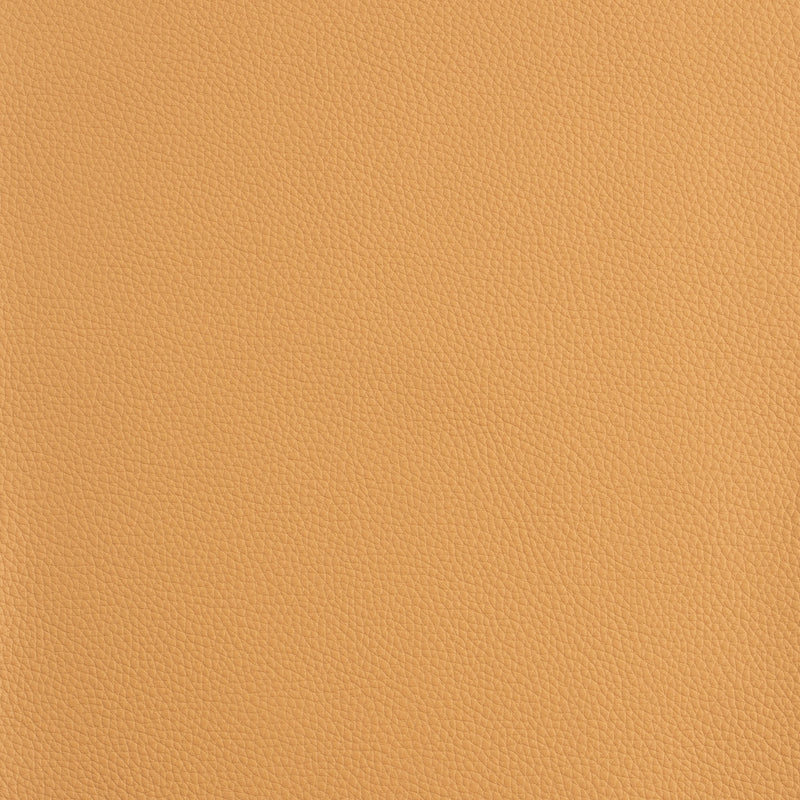 Kaleidoscope Prescott Whole Hide - Warm Tones
