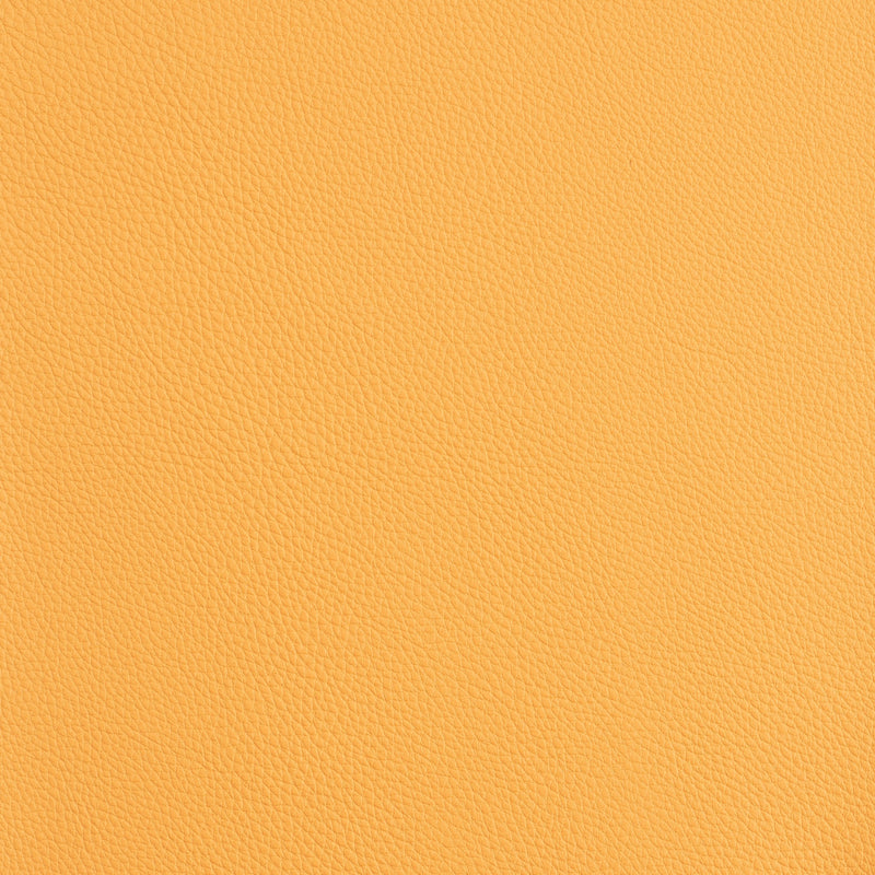 Kaleidoscope Prescott Whole Hide - Warm Tones