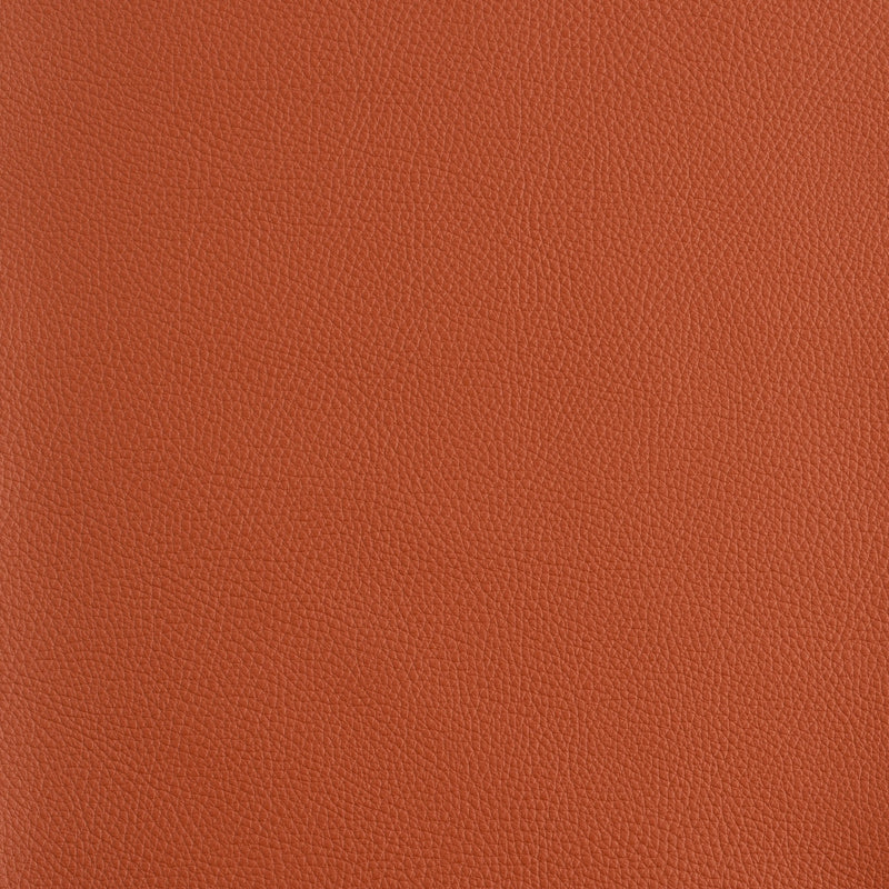 Kaleidoscope Prescott Whole Hide - Warm Tones