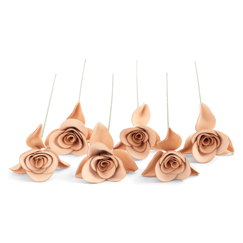 Rose Kit 6 Pack