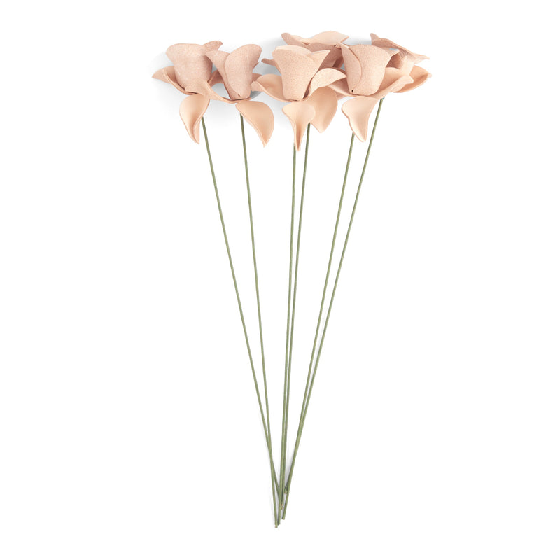 Rose Kit 6 Pack