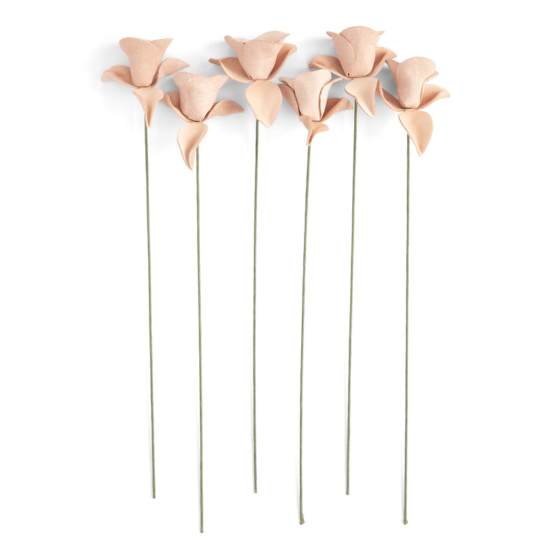 Rose Kit 6 Pack