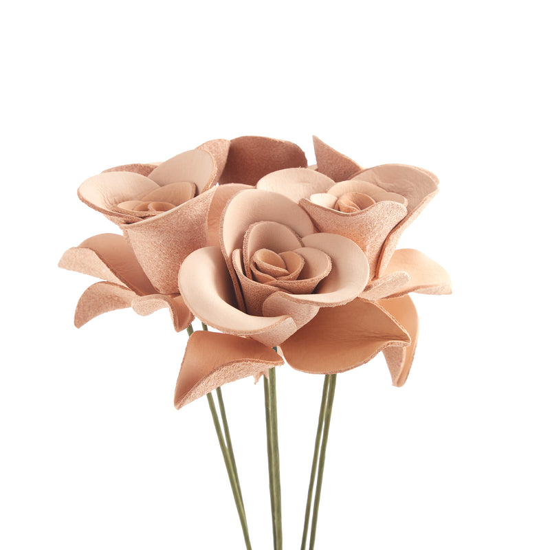 Rose Kit 6 Pack