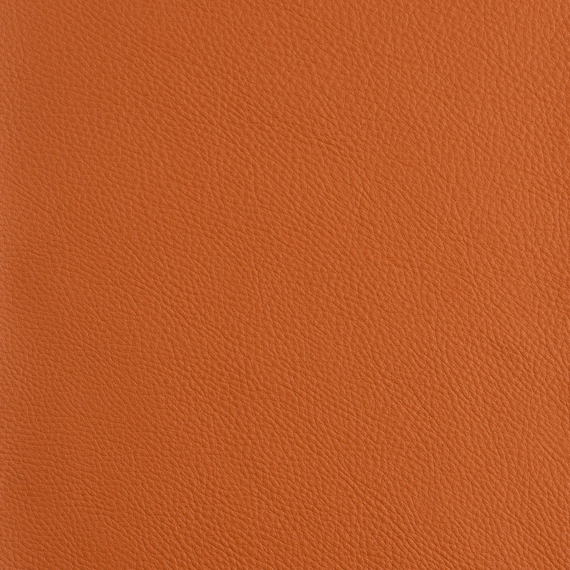 Kaleidoscope Prescott Whole Hide - Warm Tones
