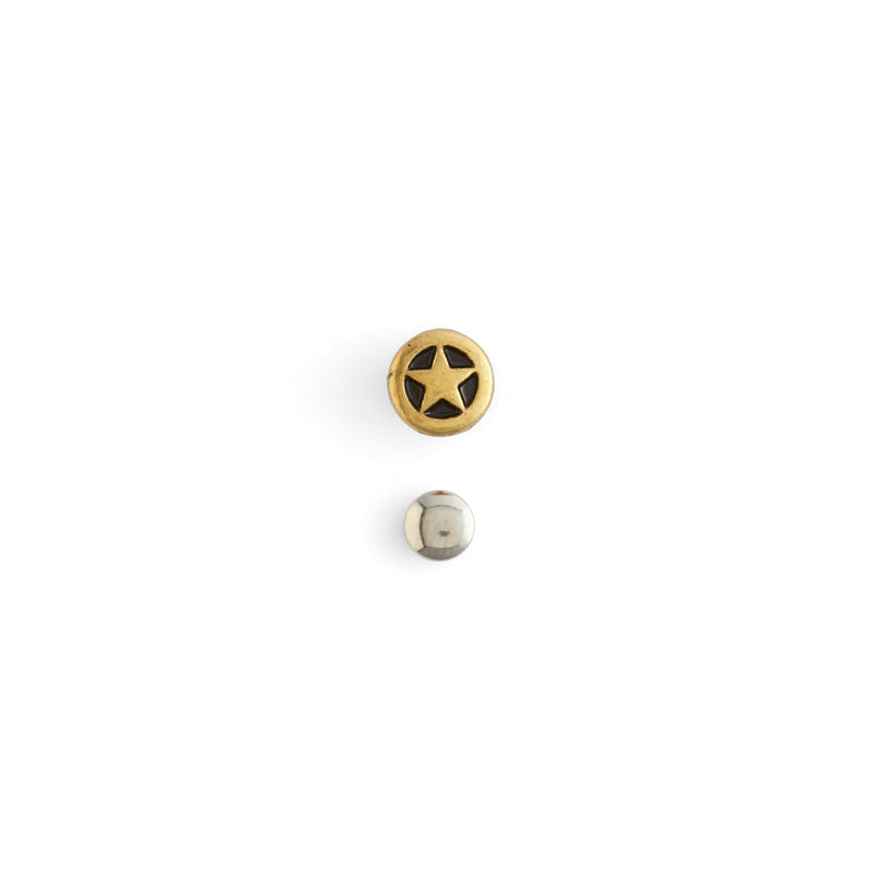 Conchos Estrellas Pequeñas